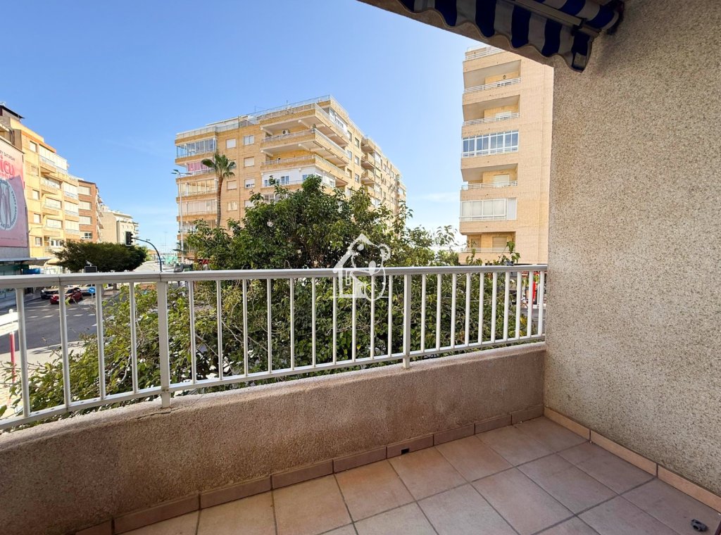 Alquiler - Apartamento / piso - Torrevieja - Torrevieja Centro
