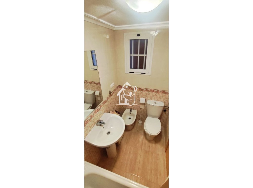 Alquiler - Apartamento / piso - Torrevieja - Torrevieja Centro