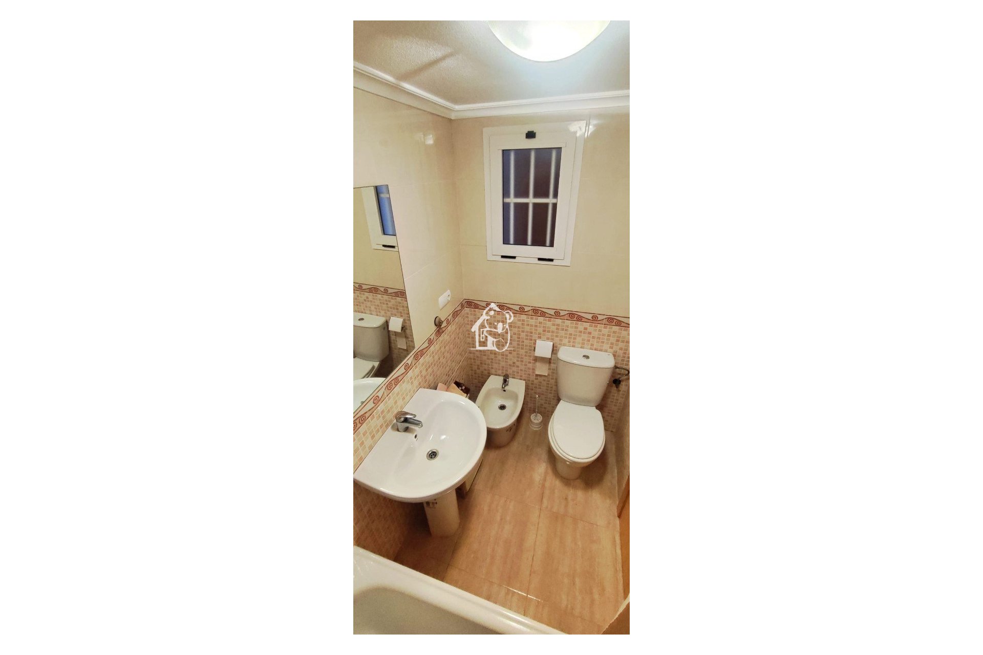 Alquiler - Apartamento / piso - Torrevieja - Torrevieja Centro