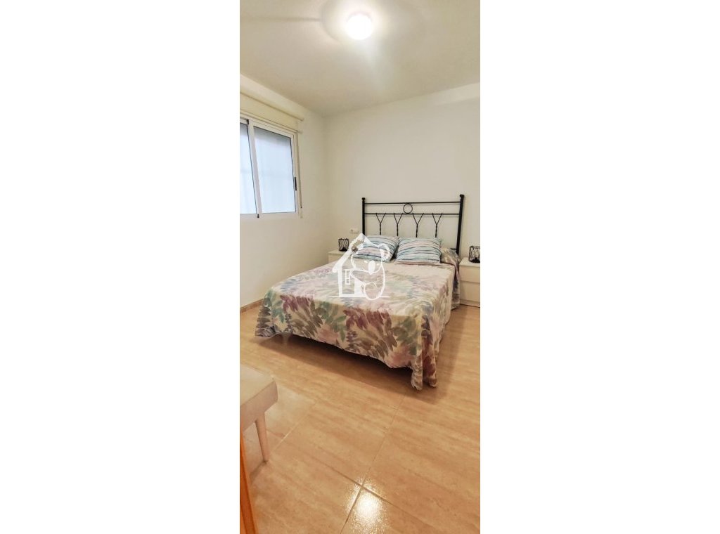 Alquiler - Apartamento / piso - Torrevieja - Torrevieja Centro