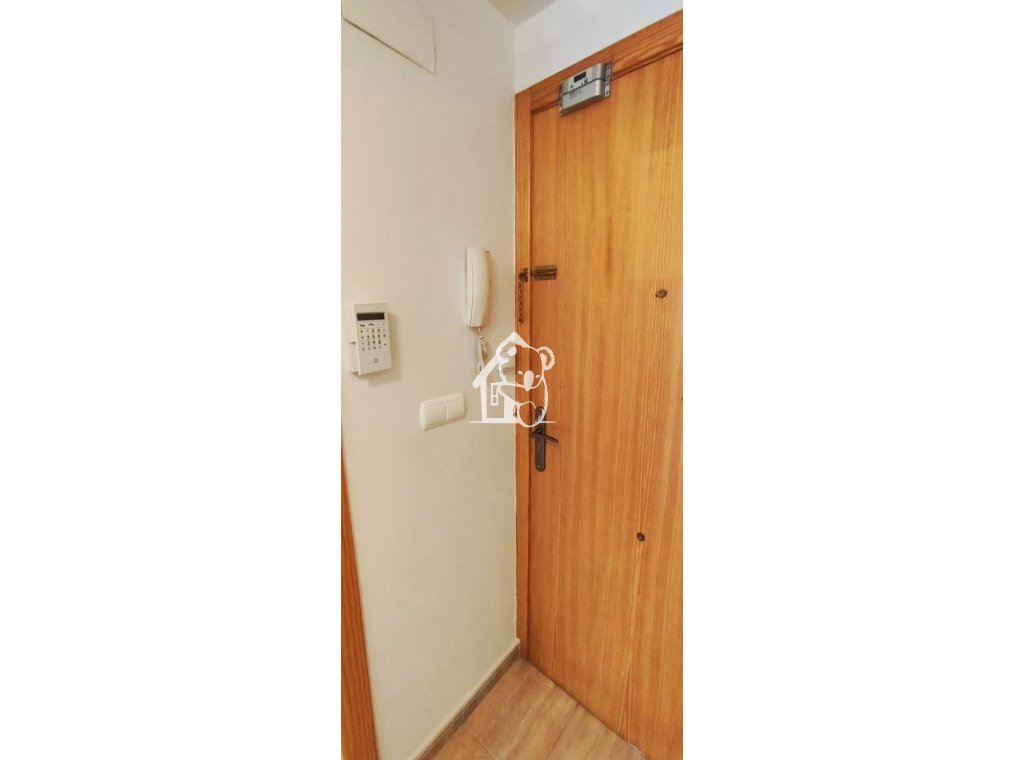 Alquiler - Apartamento / piso - Torrevieja - Torrevieja Centro