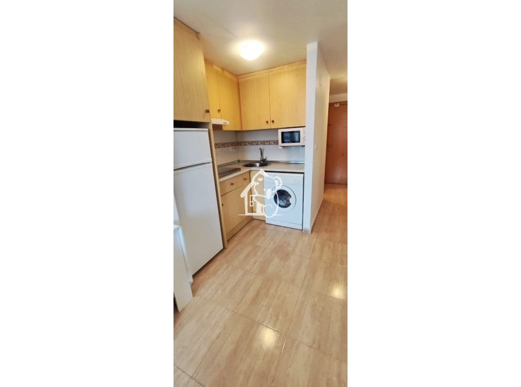 Alquiler - Apartamento / piso - Torrevieja - Torrevieja Centro