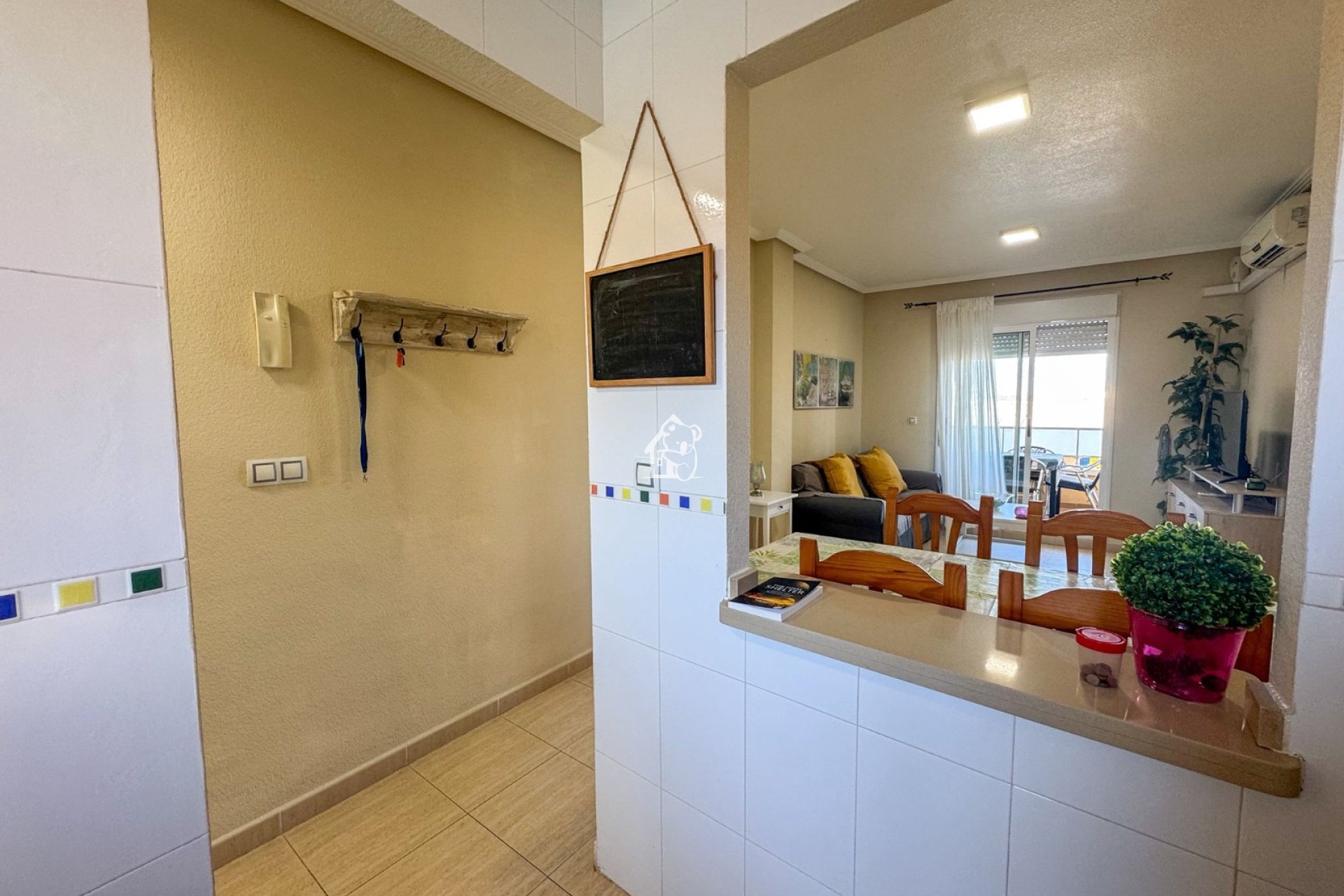 Alquiler - Apartamento / piso - Torrevieja - Torrevieja Centro