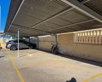 Alquiler - Apartamento / piso - Torrevieja - Torrevieja Centro