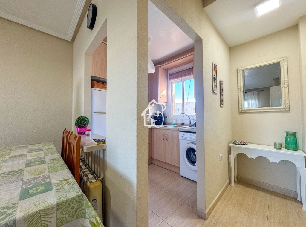 Alquiler - Apartamento / piso - Torrevieja - Torrevieja Centro