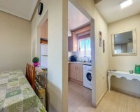 Alquiler - Apartamento / piso - Torrevieja - Torrevieja Centro