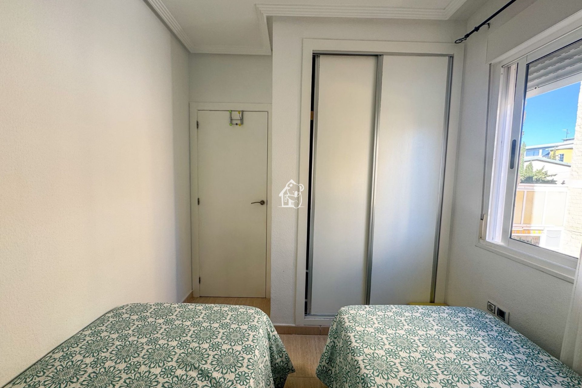 Alquiler - Apartamento / piso - Torrevieja - Torrevieja Centro