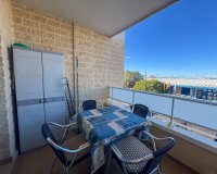 Alquiler - Apartamento / piso - Torrevieja - Torrevieja Centro