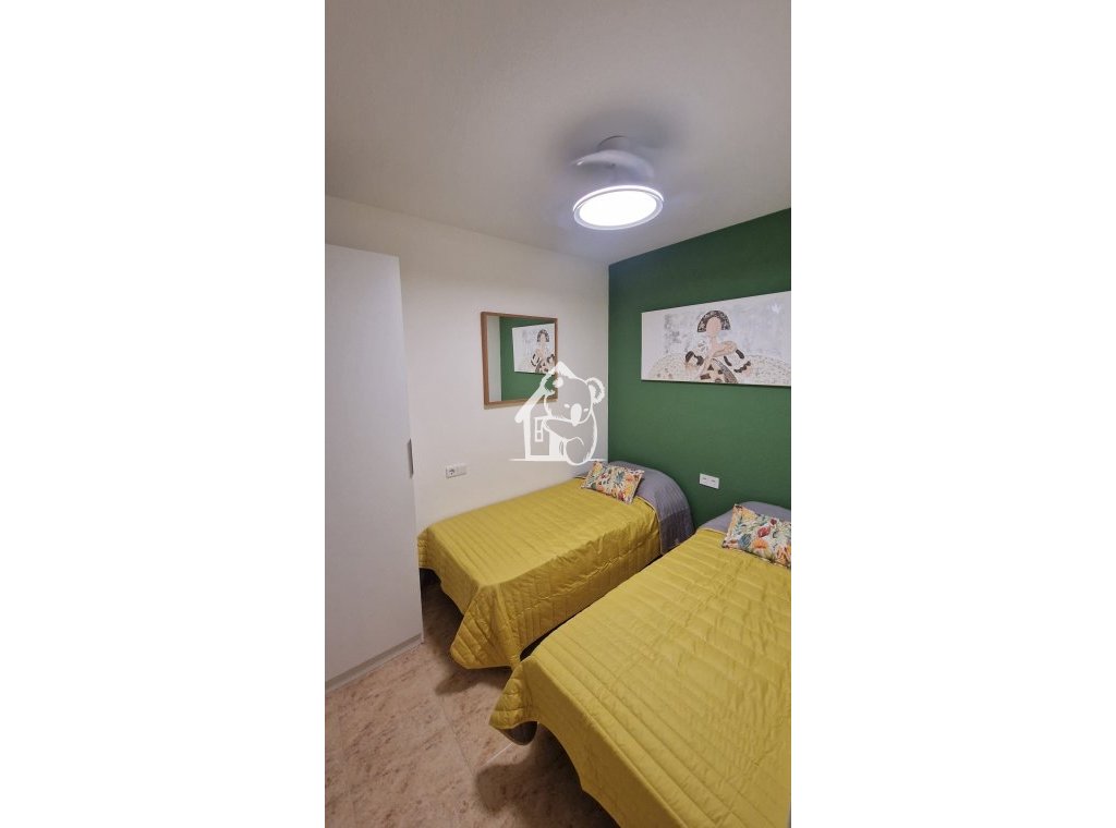 Alquiler - Apartamento / piso - Torrevieja - Torrevieja Centro