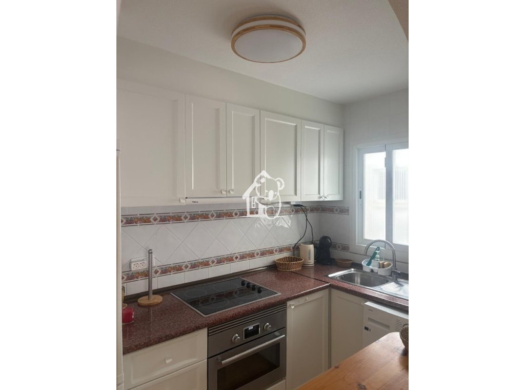 Alquiler - Apartamento / piso - Torrevieja - Torrevieja Centro