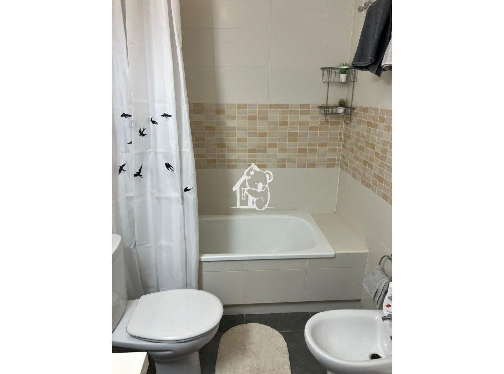 Alquiler - Apartamento / piso - Torrevieja - Torrevieja Centro