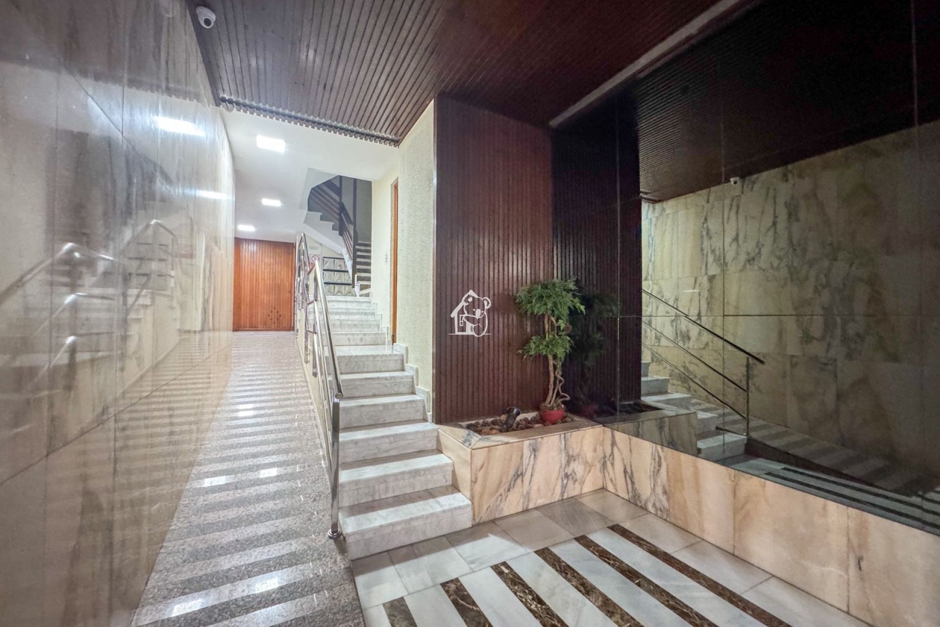 Alquiler - Apartamento / piso - Torrevieja - Torrevieja Centro