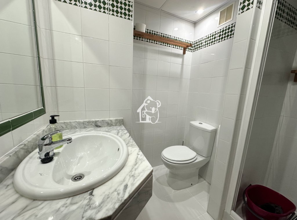 Alquiler - Apartamento / piso - Torrevieja - Torrevieja Centro