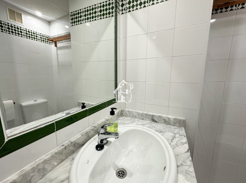 Alquiler - Apartamento / piso - Torrevieja - Torrevieja Centro