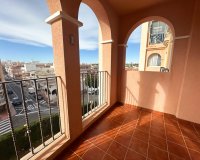 Alquiler - Apartamento / piso - Torrevieja - Torrevieja Centro