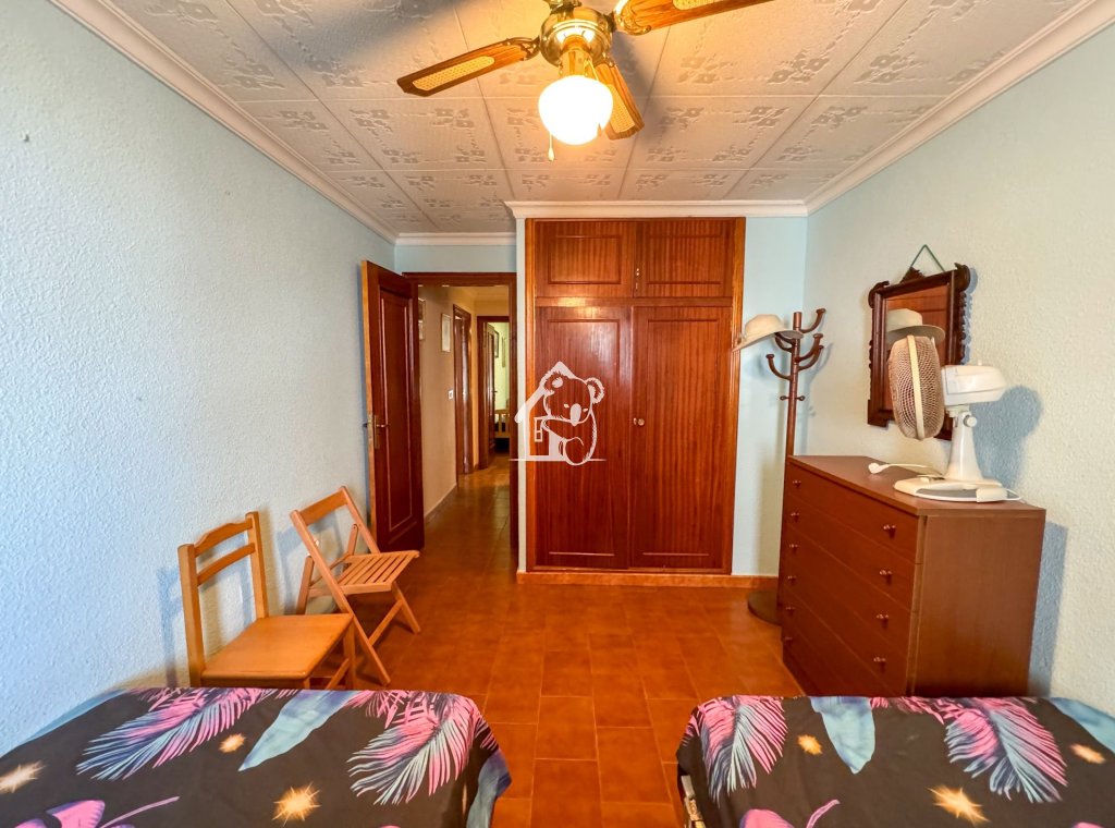 Alquiler - Apartamento / piso - Torrevieja - Torrevieja Centro