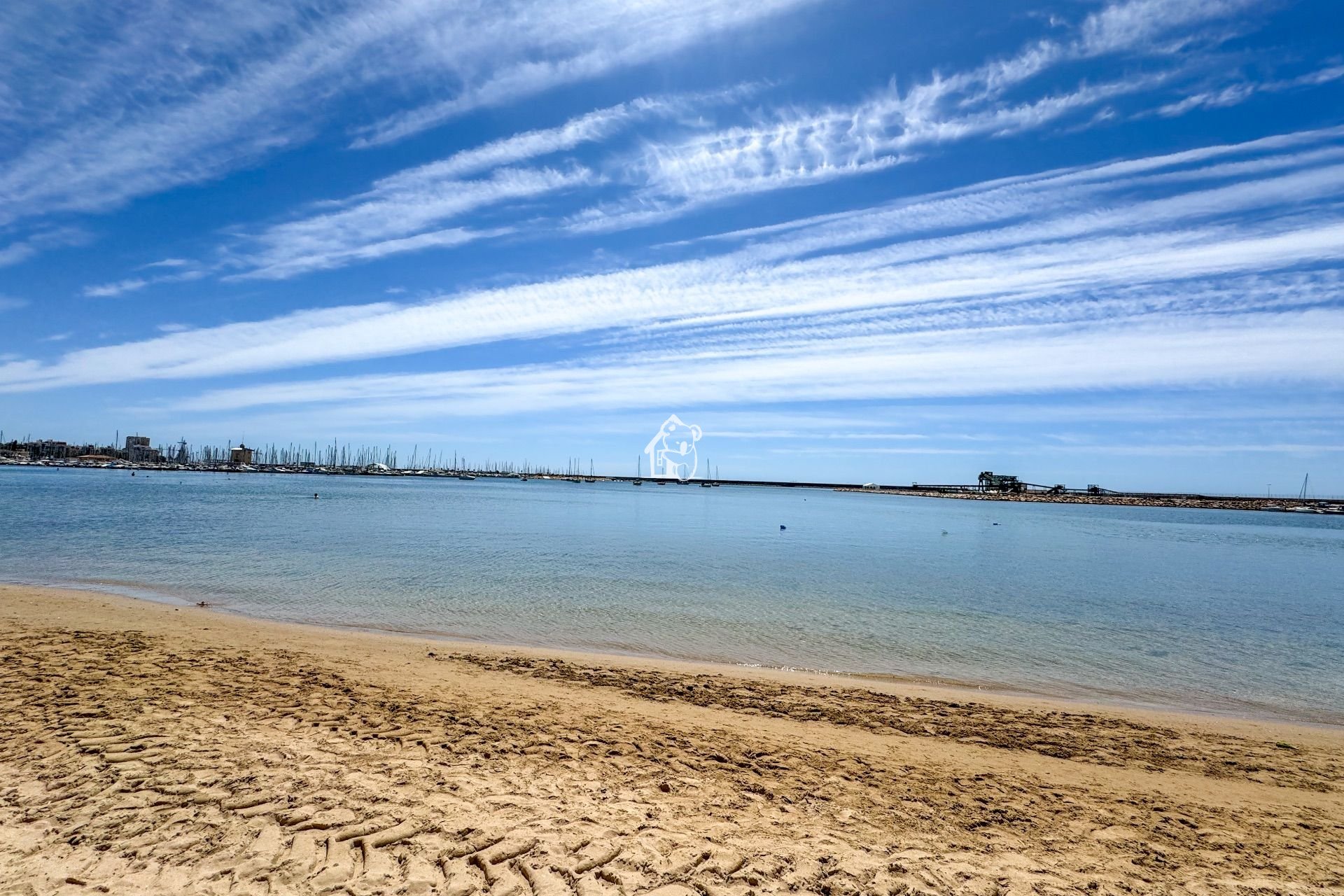 Alquiler - Apartamento / piso - Torrevieja - Torrevieja Centro