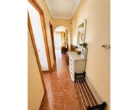 Alquiler - Apartamento / piso - Torrevieja - Torrevieja Centro