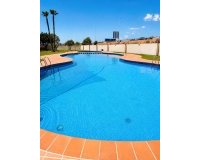 Alquiler - Apartamento / piso - Torrevieja - Torrevieja Centro