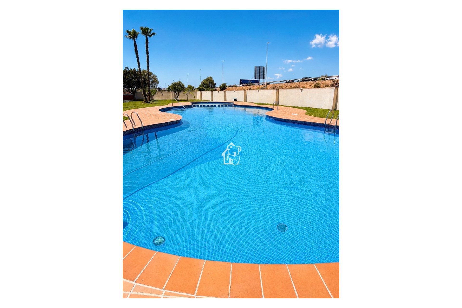 Alquiler - Apartamento / piso - Torrevieja - Torrevieja Centro