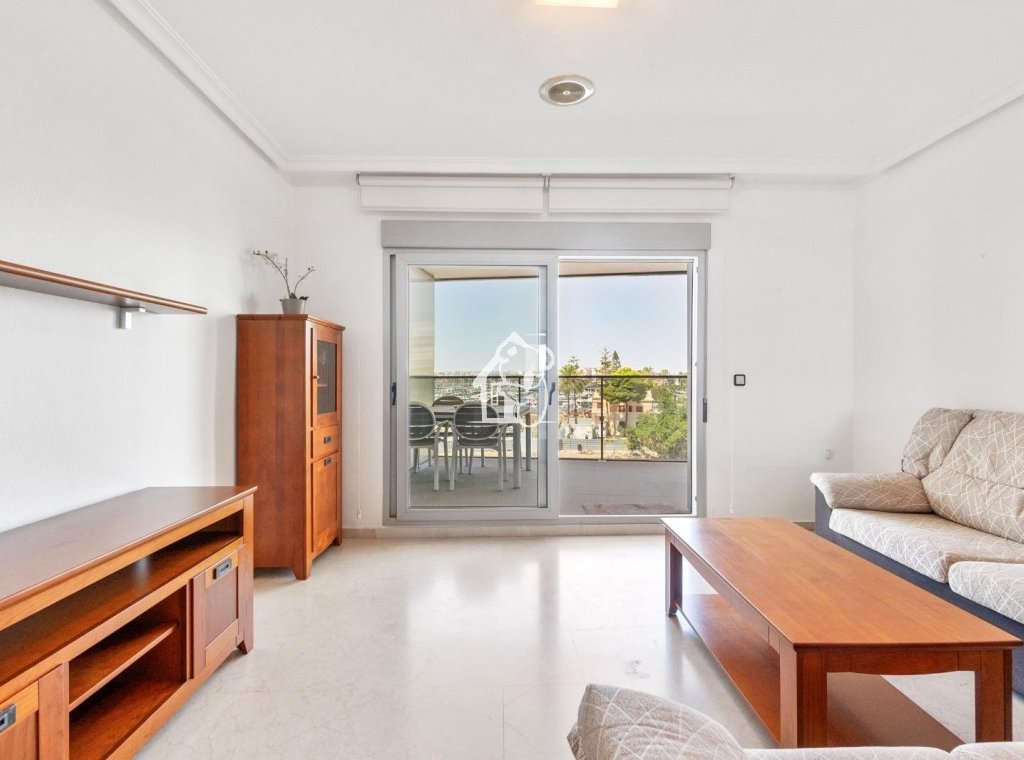 Alquiler - Apartamento / piso - Torrevieja - Torrevieja Centro