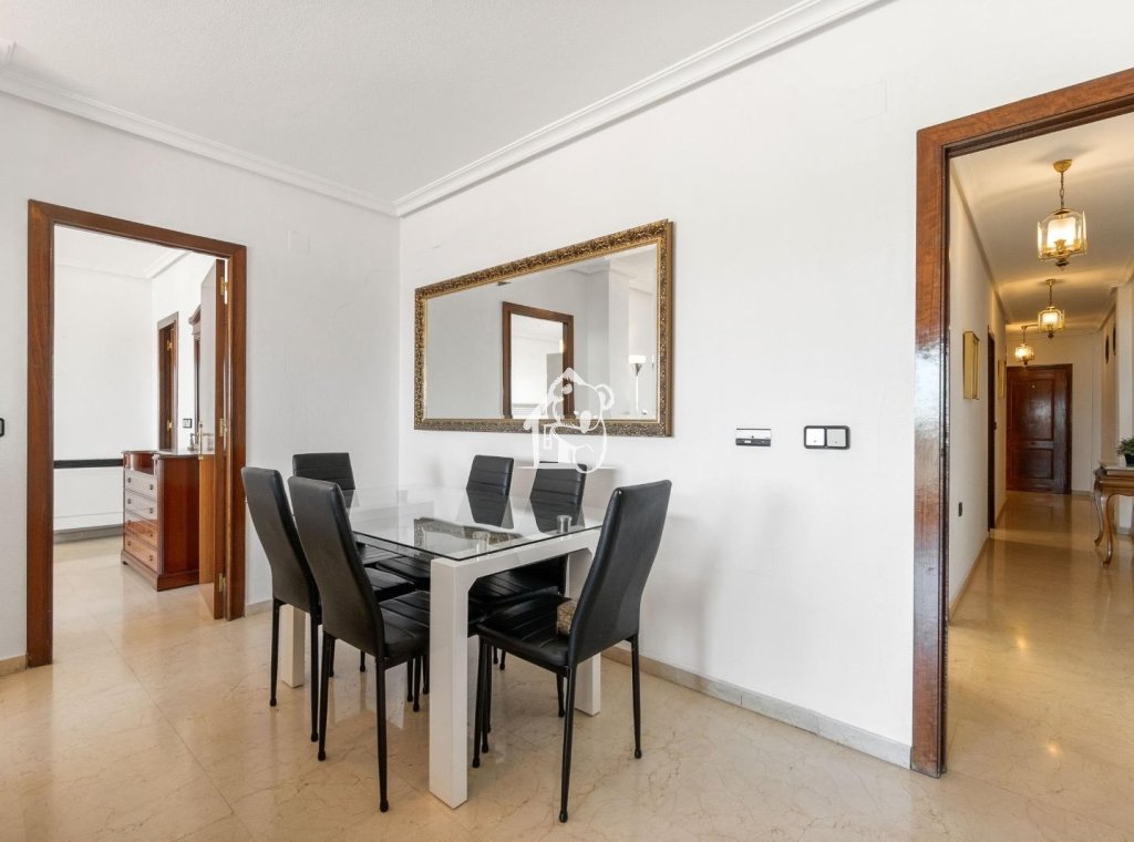 Alquiler - Apartamento / piso - Torrevieja - Torrevieja Centro