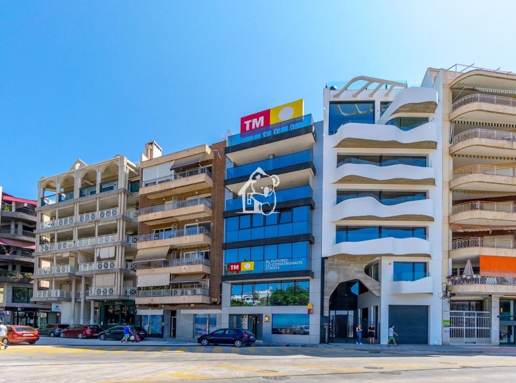 Alquiler - Apartamento / piso - Torrevieja - Torrevieja Centro