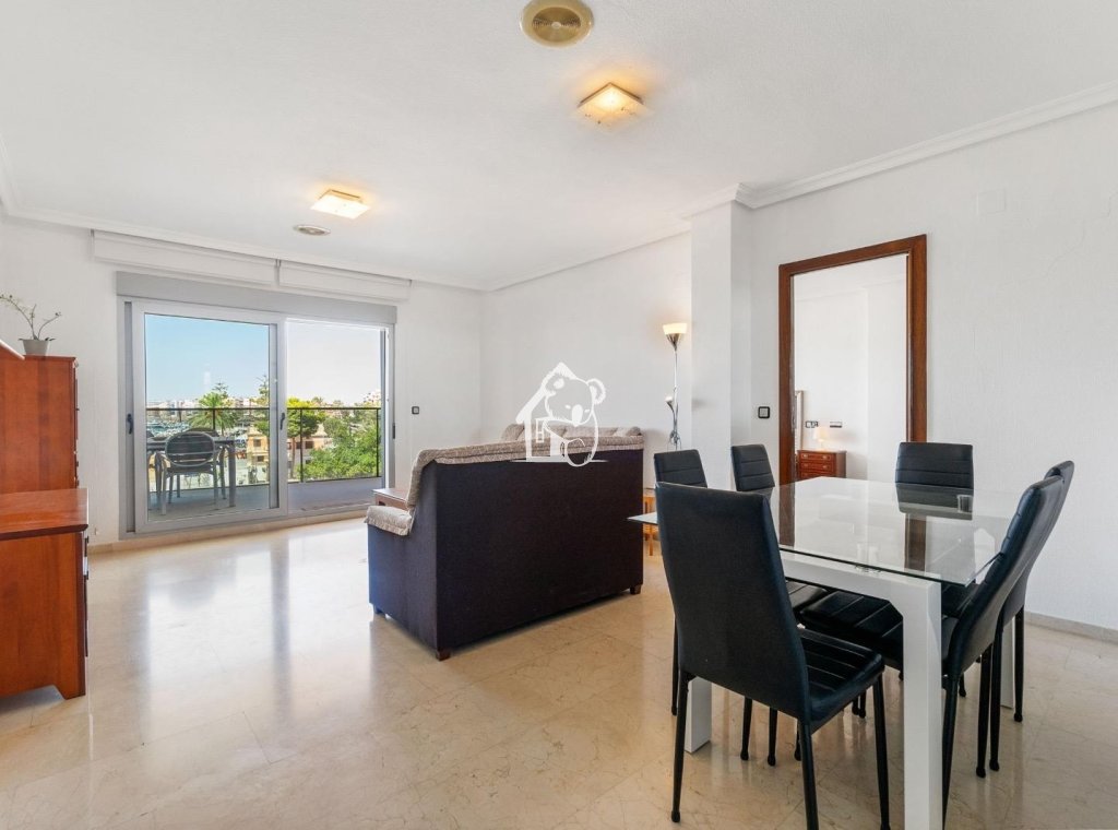 Alquiler - Apartamento / piso - Torrevieja - Torrevieja Centro