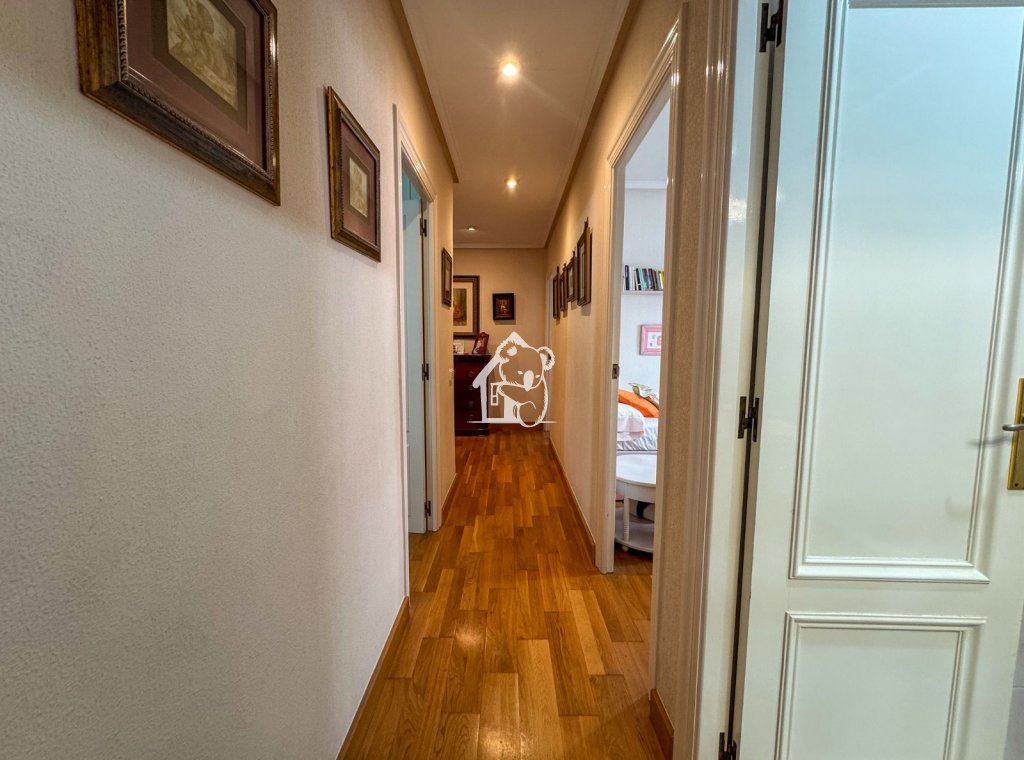 Alquiler - Apartamento / piso - Torrevieja - Torrevieja Centro