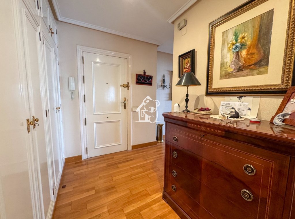 Alquiler - Apartamento / piso - Torrevieja - Torrevieja Centro