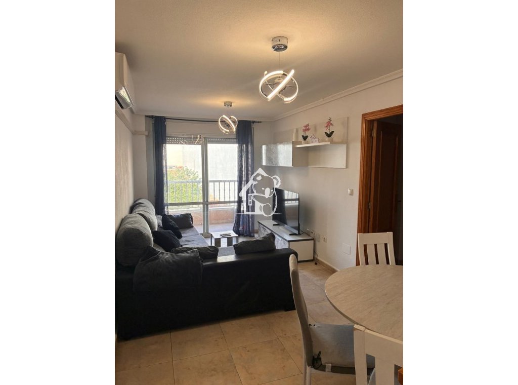 Alquiler - Apartamento / piso - Torrevieja - Torrevieja Centro