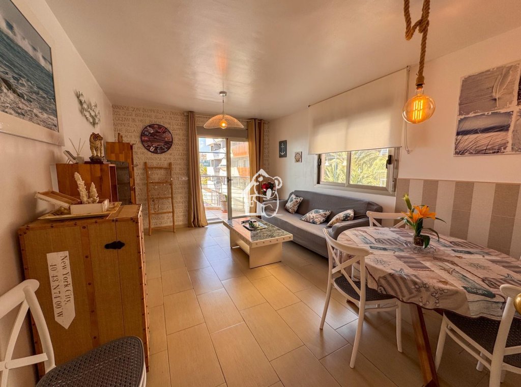 Alquiler - Apartamento / piso - Torrevieja - Torrevieja Centro