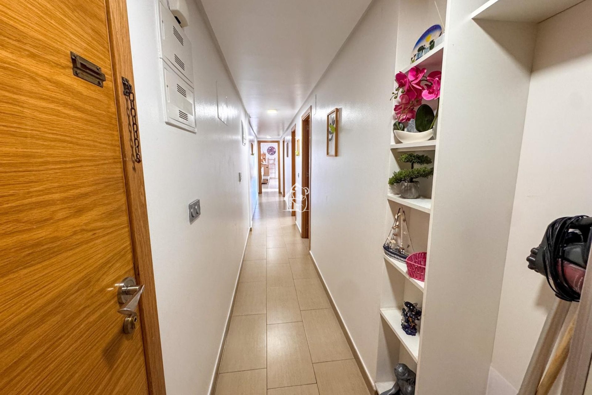 Alquiler - Apartamento / piso - Torrevieja - Torrevieja Centro