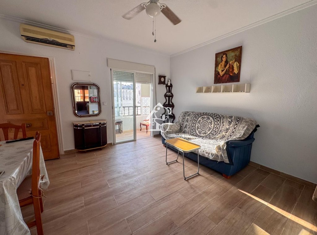 Alquiler - Apartamento / piso - Torrevieja - Torrevieja Centro