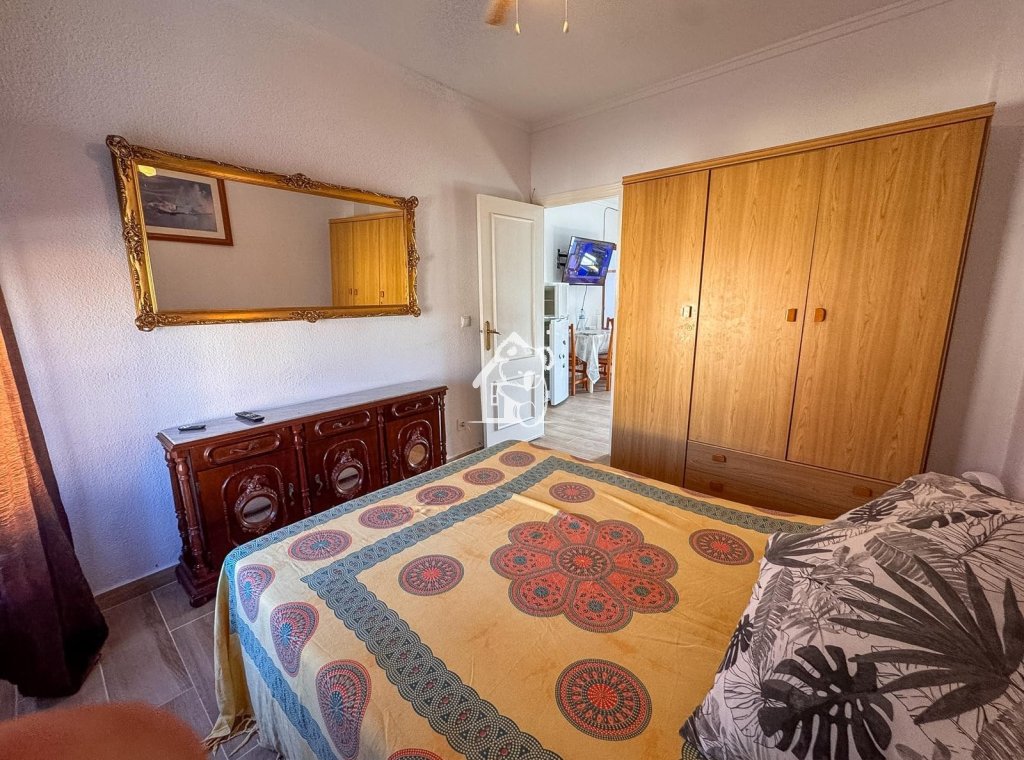 Alquiler - Apartamento / piso - Torrevieja - Torrevieja Centro