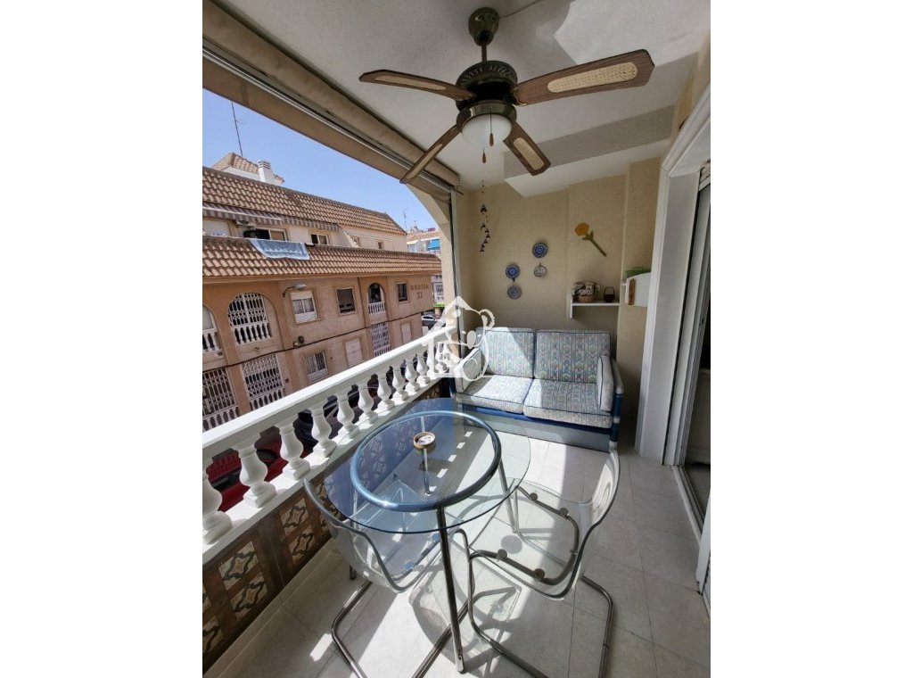 Alquiler - Apartamento / piso - Torrevieja - Torrevieja Centro