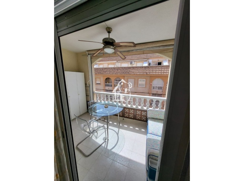 Alquiler - Apartamento / piso - Torrevieja - Torrevieja Centro