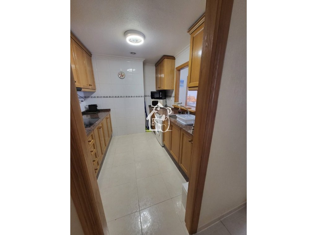 Alquiler - Apartamento / piso - Torrevieja - Torrevieja Centro