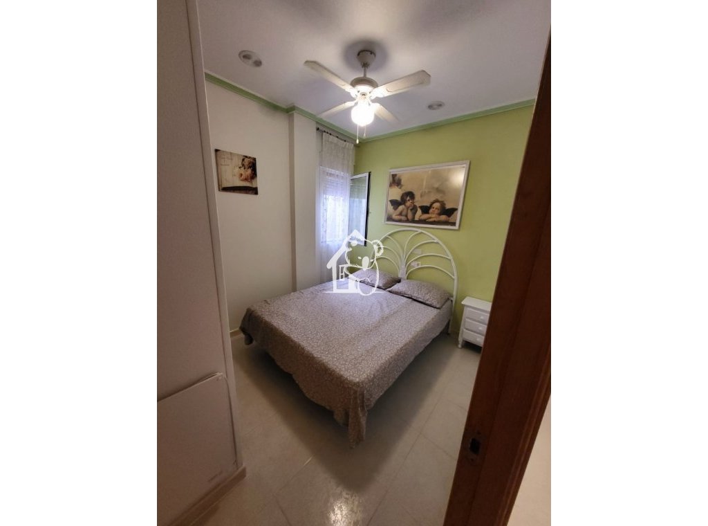 Alquiler - Apartamento / piso - Torrevieja - Torrevieja Centro