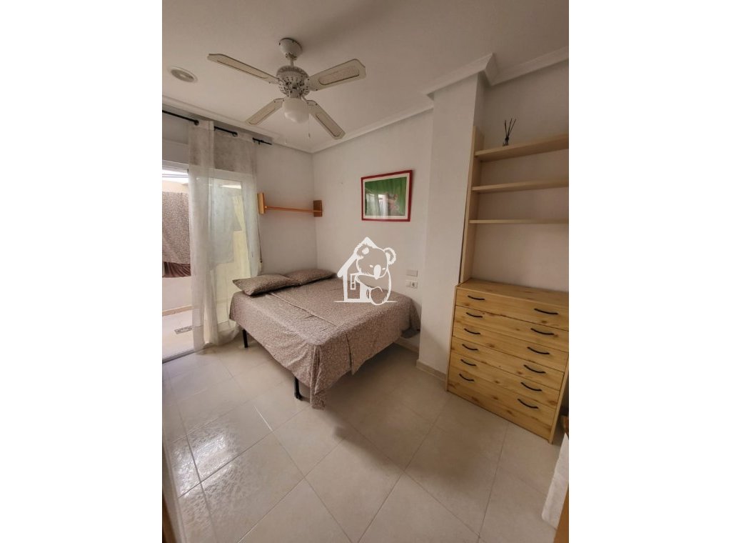 Alquiler - Apartamento / piso - Torrevieja - Torrevieja Centro