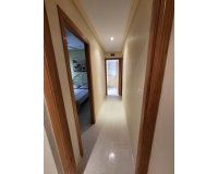 Alquiler - Apartamento / piso - Torrevieja - Torrevieja Centro