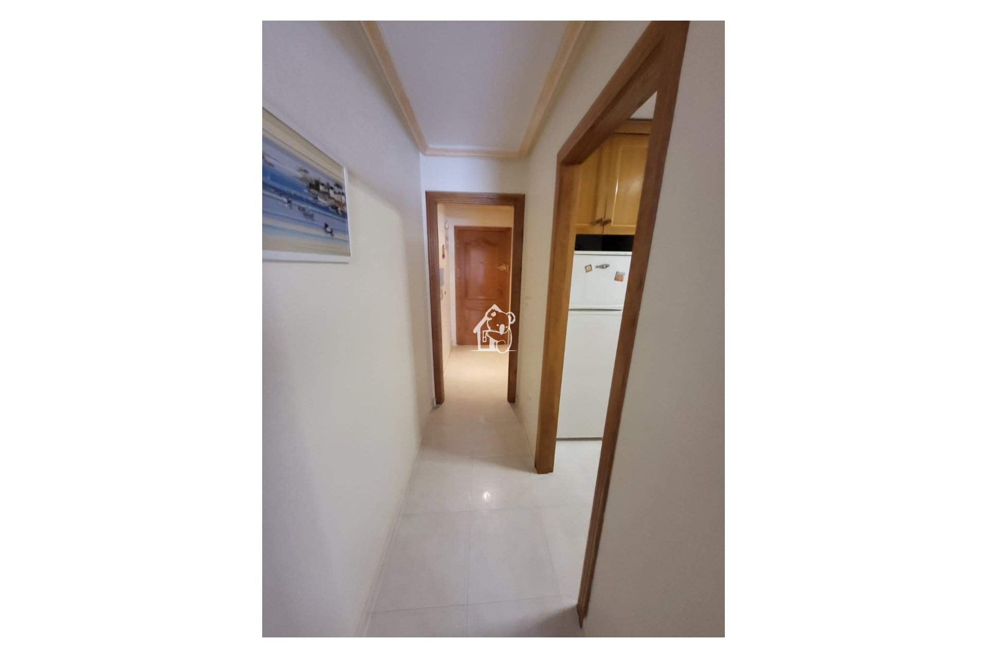 Alquiler - Apartamento / piso - Torrevieja - Torrevieja Centro