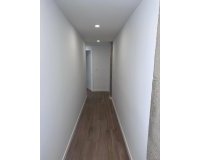 Alquiler - Apartamento / piso - Torrevieja - Torrevieja Centro