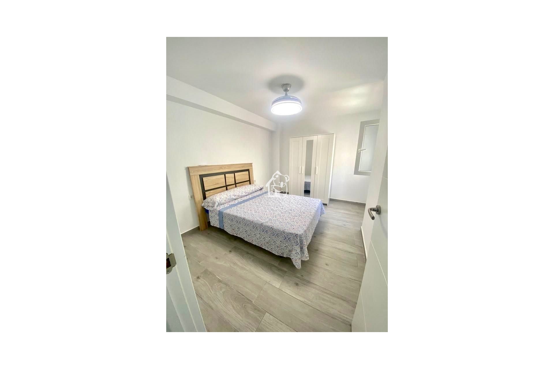 Alquiler - Apartamento / piso - Torrevieja - Torrevieja Centro