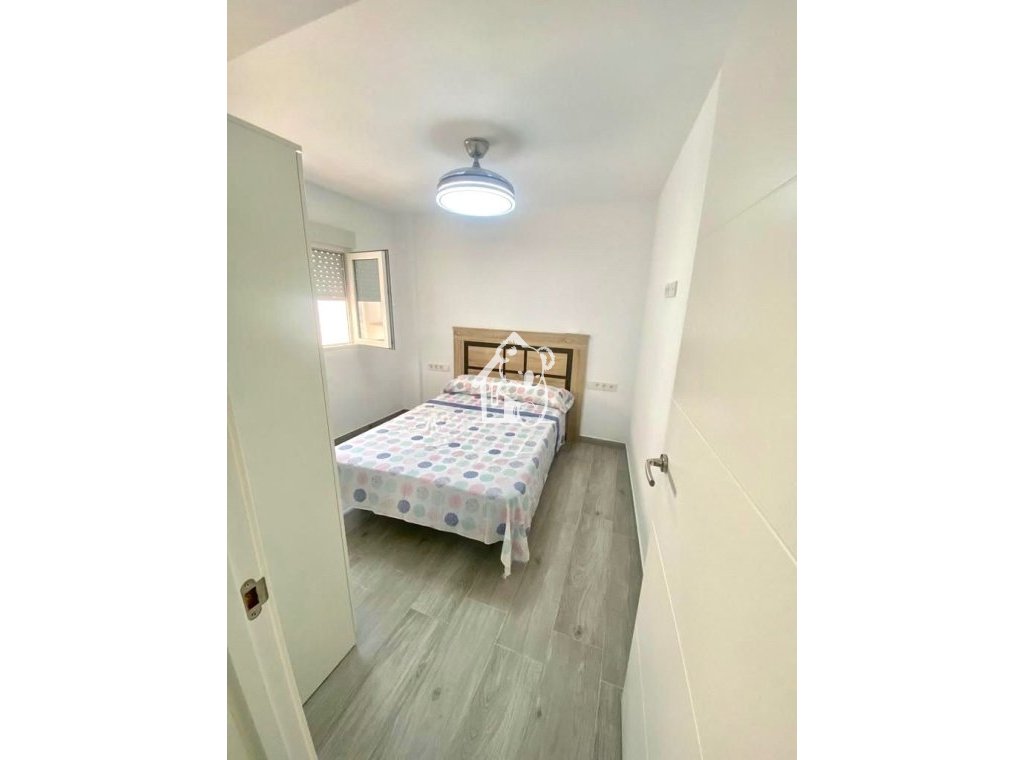 Alquiler - Apartamento / piso - Torrevieja - Torrevieja Centro