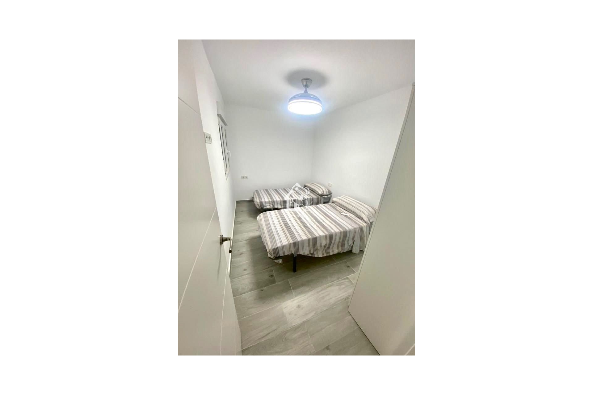 Alquiler - Apartamento / piso - Torrevieja - Torrevieja Centro