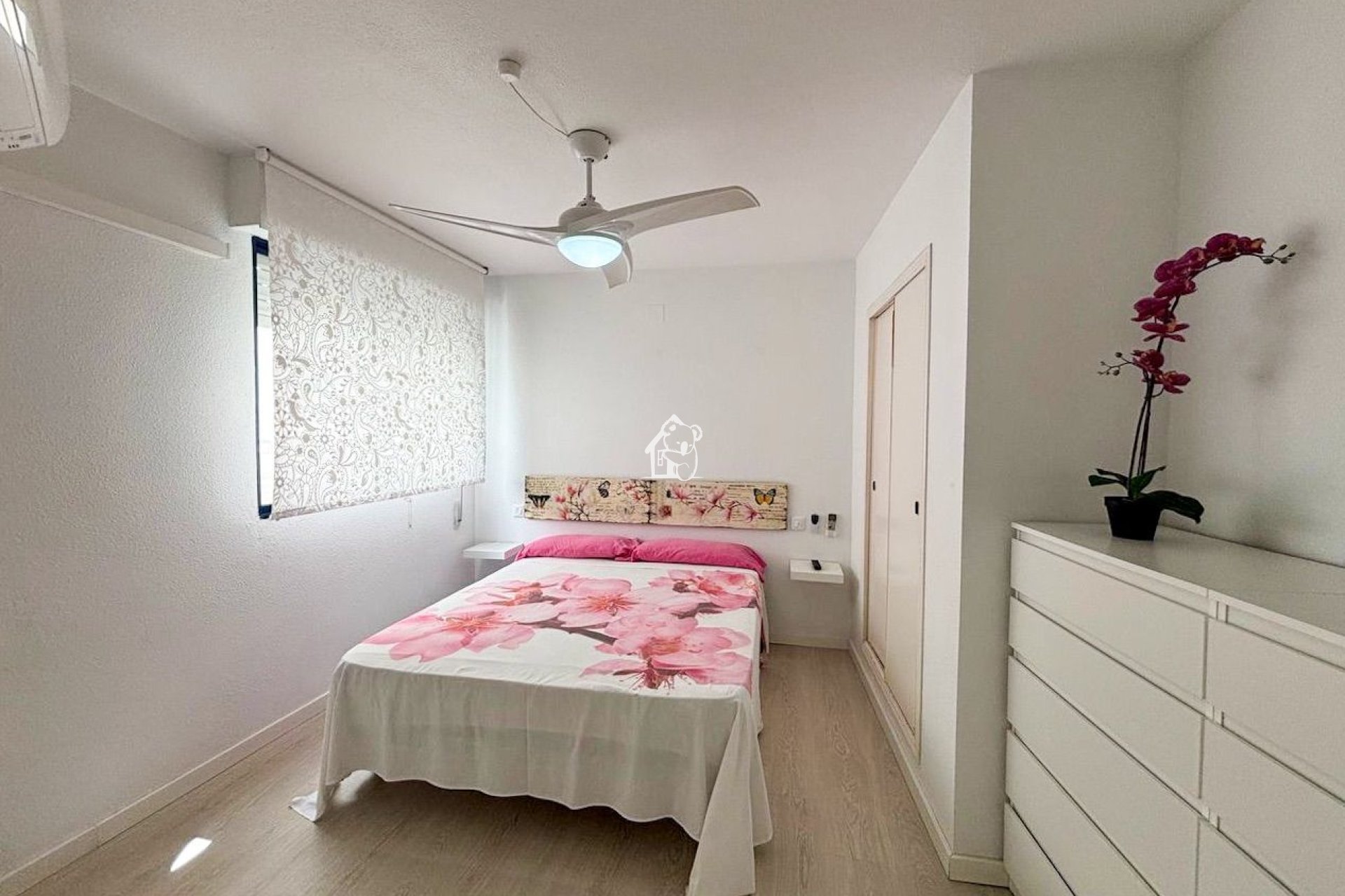 Alquiler - Apartamento / piso - Torrevieja - Torrevieja Centro