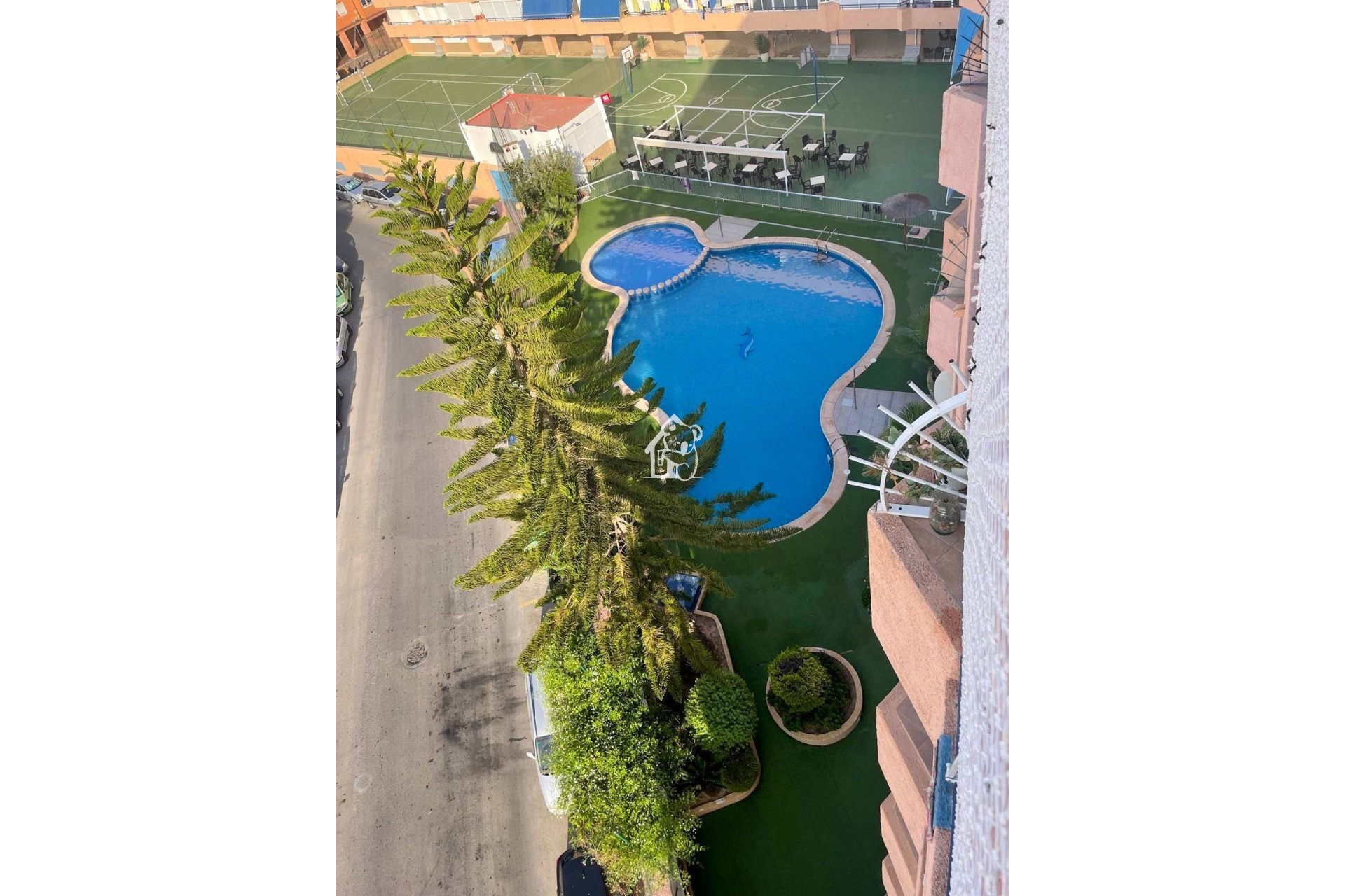 Alquiler - Apartamento / piso - Torrevieja - Torrevieja Centro