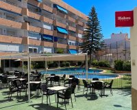 Alquiler - Apartamento / piso - Torrevieja - Torrevieja Centro