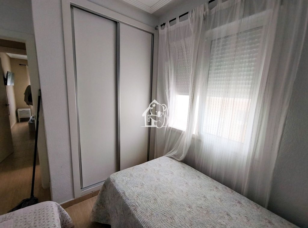 Alquiler - Apartamento / piso - Torrevieja - Torrevieja Centro